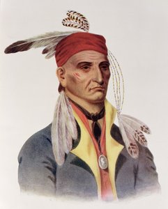 शिन-गा-बा W&39;Ossin या &39;इमेज स्टोन&39;, एक चीपवे चीफ, 1826, थॉमस एल मैककेनी और जेम्स हॉल, पब द्वारा &39;द इंडियन ट्राइब्स ऑफ नॉर्थ अमेरिका, वॉल्यूम 1&39; से चित्रण। जॉन ग्रांट द्वारा